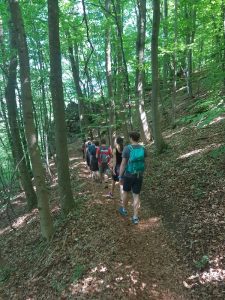 Rund um die Burg Hohenneuffen wird auf weichem Untergrund gewandert Rund um die Burg Hohenneuffen wird auf weichem Untergrund gewandert