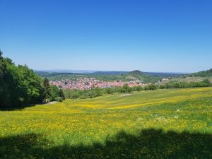 Blauer Himmel, blühende Wiesen: wir können eine Wanderung rund um die Burg Hohenneuffen nur empfehlen! Blauer Himmel, blühende Wiesen: wir können eine Wanderung rund um die Burg Hohenneuffen nur empfehlen!