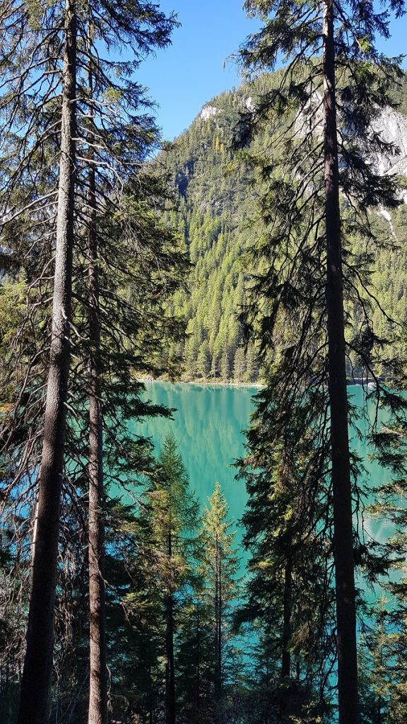 Die Wanderung um den Pragser Wildsee bietet grandiose Aussichten! Die Wanderung um den Pragser Wildsee bietet grandiose Aussichten!