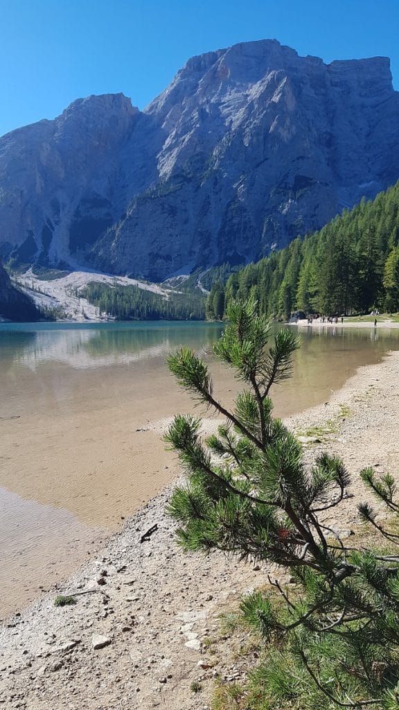 Kristallklares Bergwasser im Pragser Wildsee in den Dolomiten Kristallklares Bergwasser im Pragser Wildsee in den Dolomiten