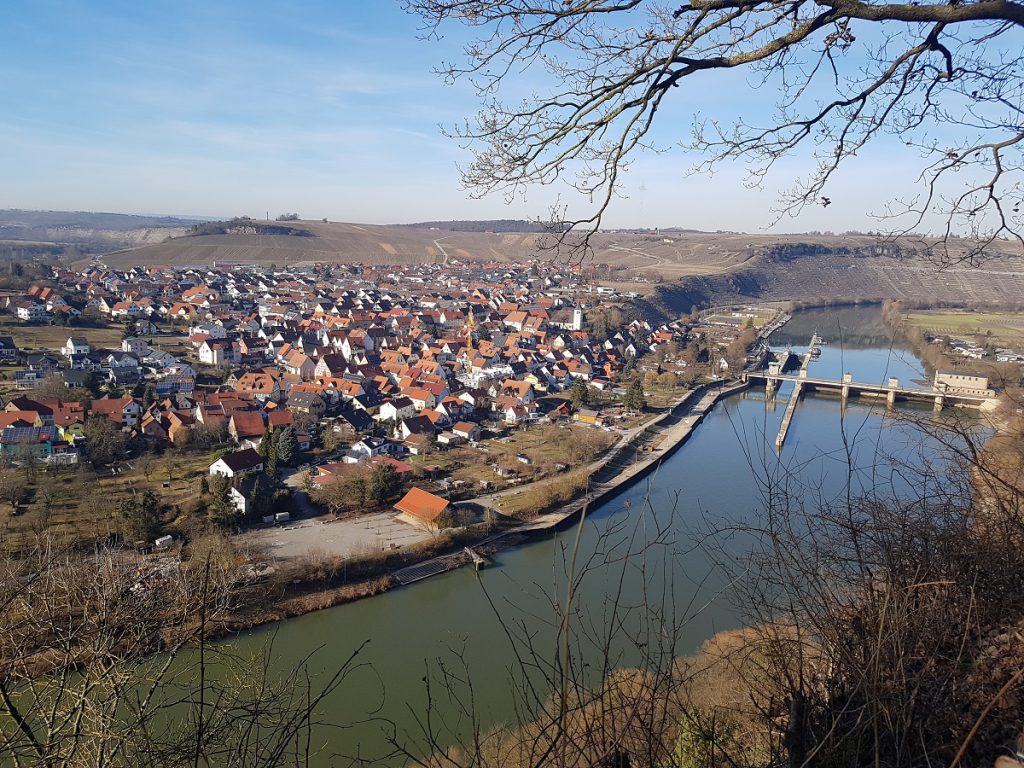 Aussicht auf Neckar und Hessigheim