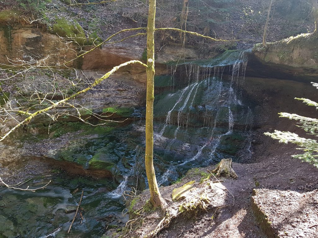 Sieht kleiner aus, als er ist. Einer der hinteren Wasserfälle in der Hörschbachschlucht. Nach 2km wandern durch die Schlucht geht es jetzt durch Wald und Wiese weiter Richtung Murrhardt!