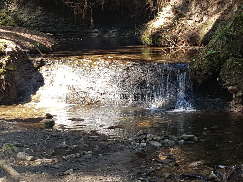 Ein Mini-Wasserfall im Hörschbachtal, wenn man so möchte.