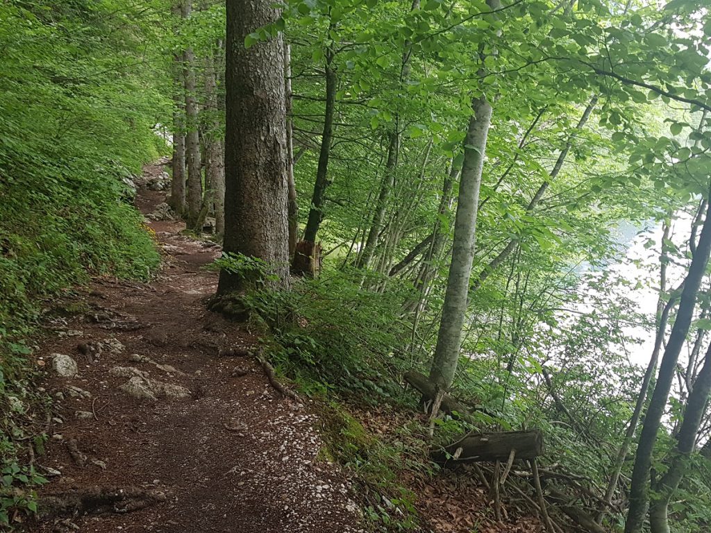 Wanderweg am Lake Bohinj