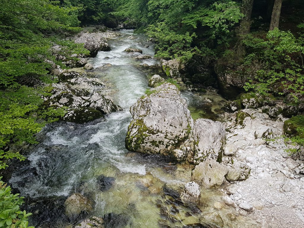 Bach am Wasserfall