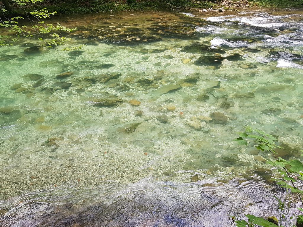 Kristallklares Wasser in Fluss
