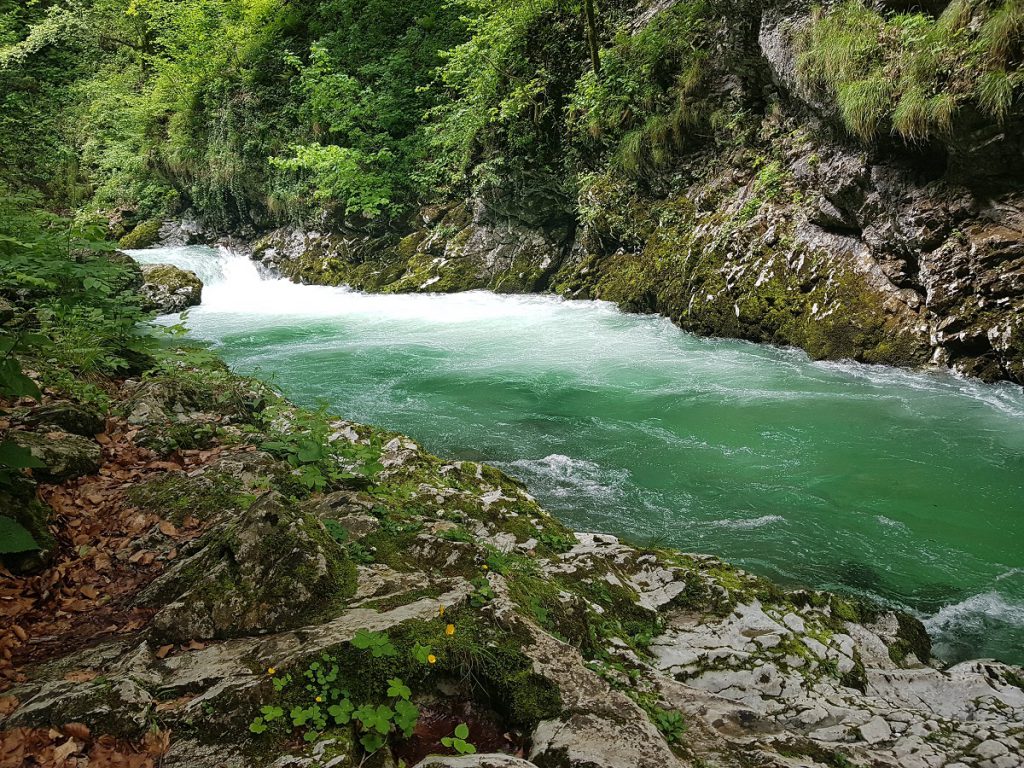 Fluss in Schlucht