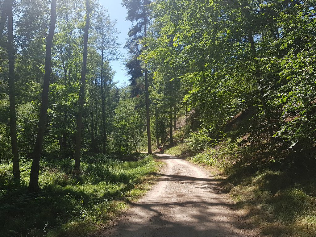 Wanderweg durch Wald