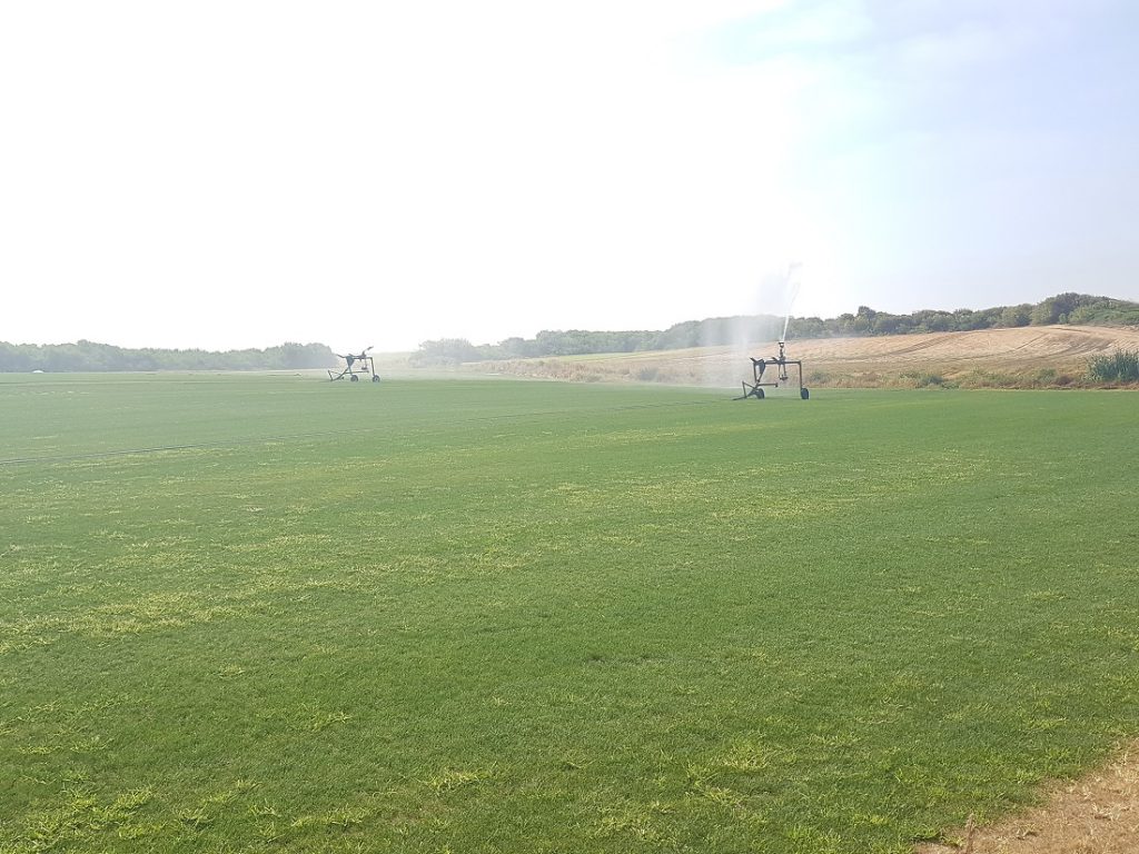 Bewässerungsanlage für Rasen von Real Madrid