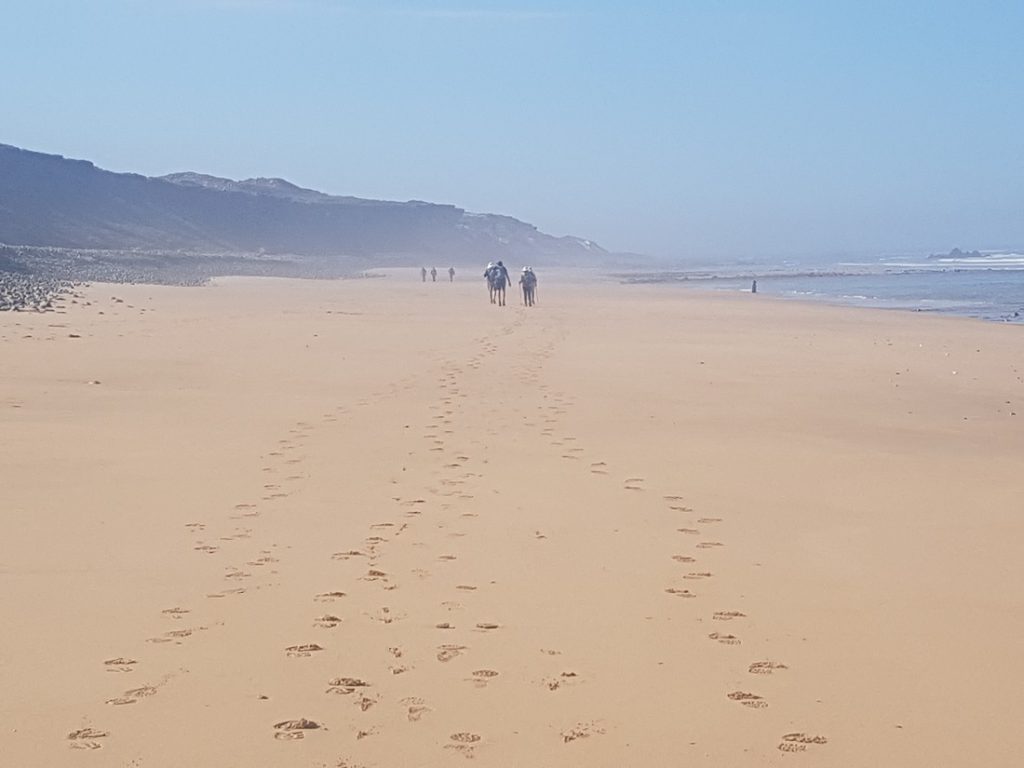 Mehrere Wanderer auf dem Sandstrand