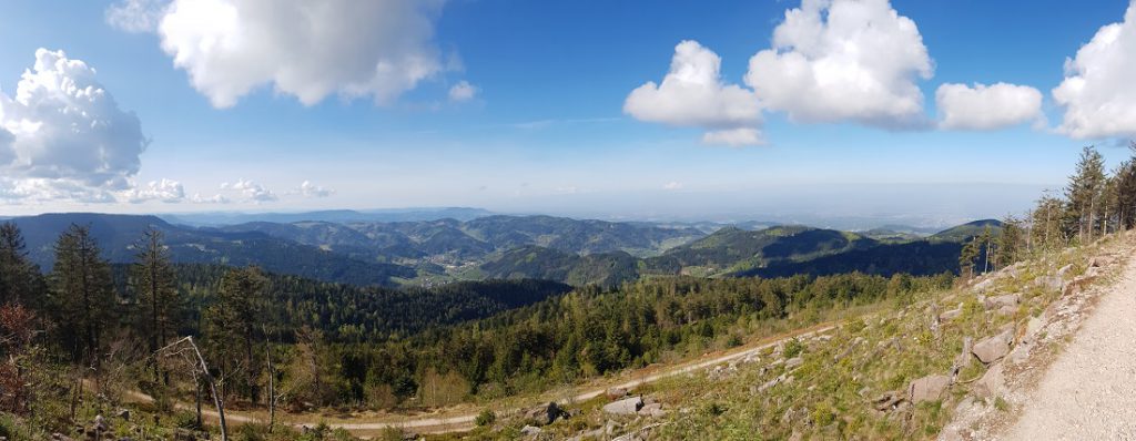 Schöne Aussicht auf den Schwarzwald