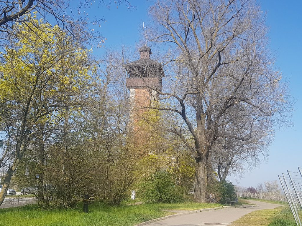 Aussichtsturm Burgholzhofturm