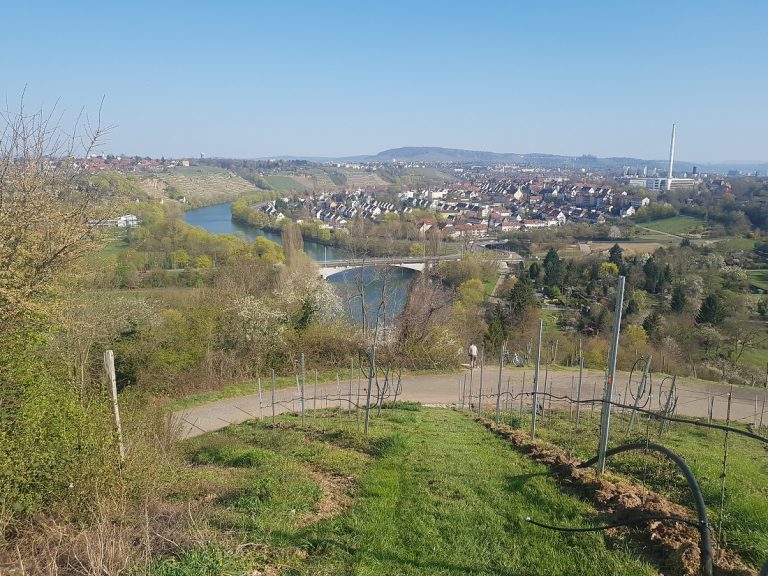 Stuttgarter Rundwanderweg wandern: Der Rössleweg!