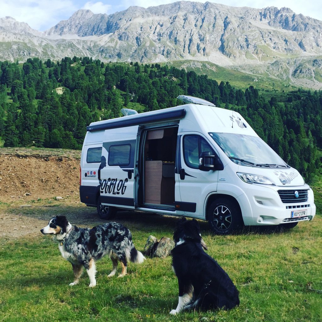 Van mit Hunden in den Alpen