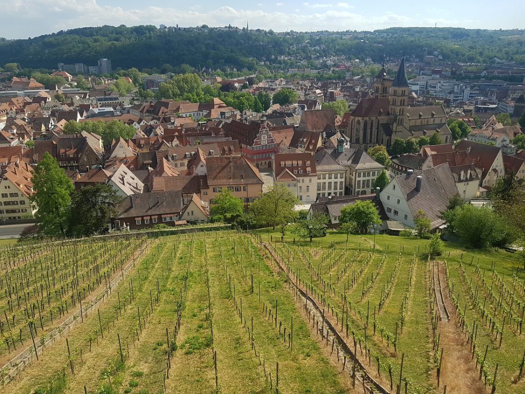 Blick über Weinberge auf Esslingen