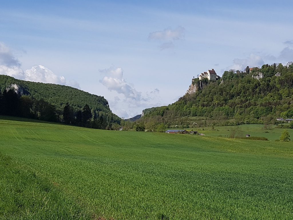Blick auf Schloss Werenwag