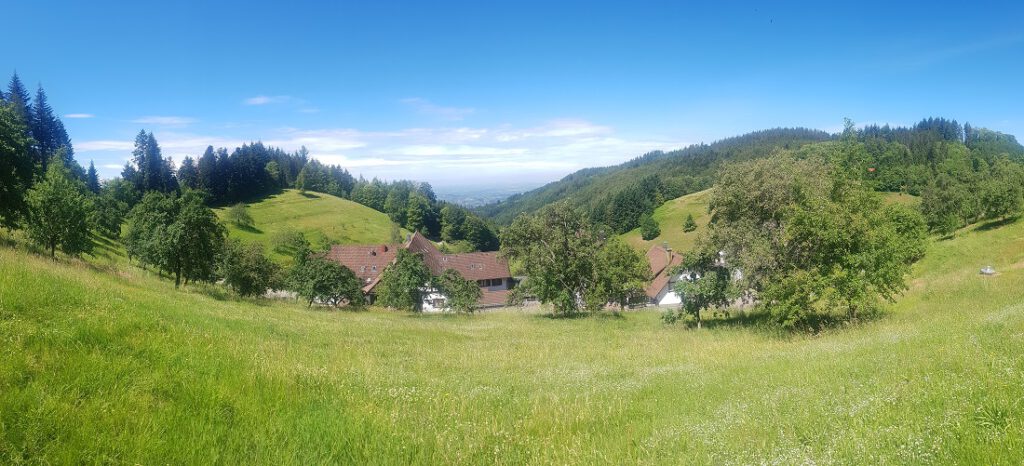 Panorama-Aussicht auf Schwarzwald