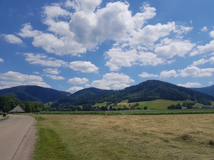 Blauer Himmel und grüne Berge im Schwarzwald