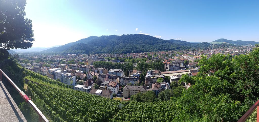 Weinberge in Freiburg