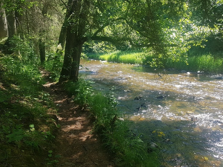 Wanderweg neben dem Fluß Wutach