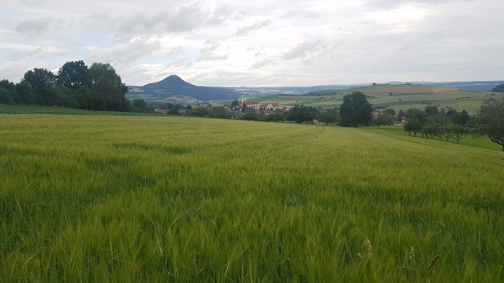 Blick über die Hegau-Landschaft