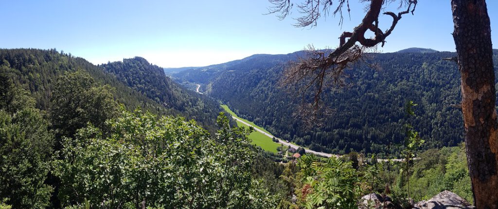 Blick über ein Tal im Schwarzwald