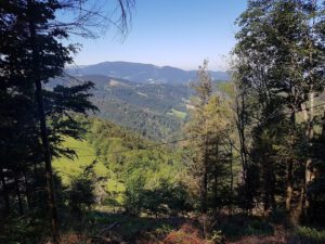 Blick auf den Schwarzwald