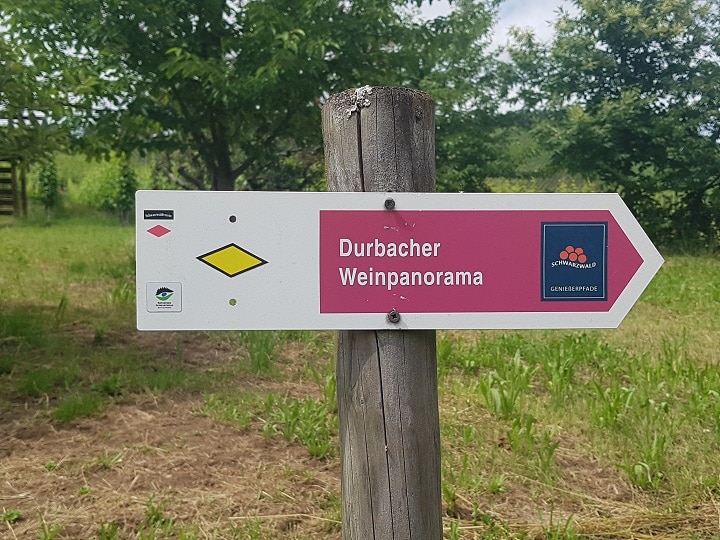 Wegweiser Durbacher Weinpanorama