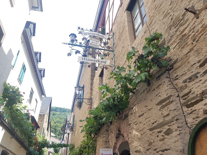 Weinranken an Hausfassaden in Beilstein beim Wandern vom Mosel Camino