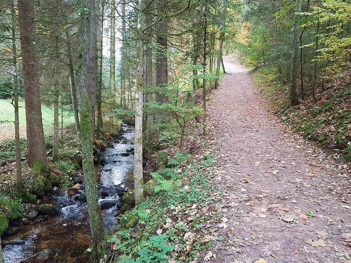 Kleiner Bach neben dem Sankenbachsteig beim Wandern