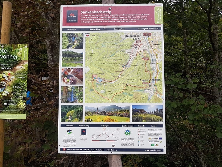 Informationstafel zum Wandern vom Sankenbachsteig in Baiersbronn