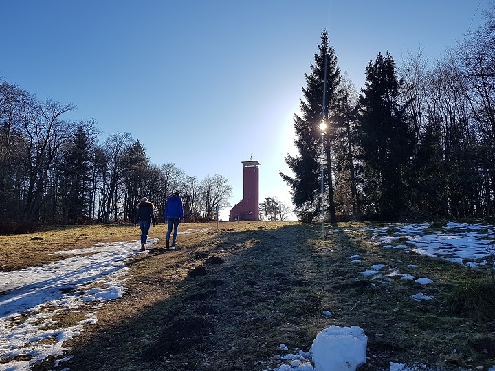 Blick auf den Aussichtsturm Raichberg auf dem Winterwanderweg Wintermärchen