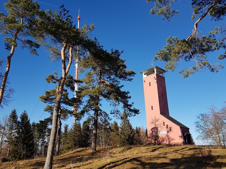 Blick auf den Raichbergturm bei gutem Wetter