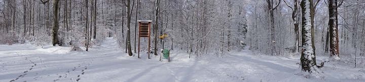 Gabelung von Wanderwegen im Schnee