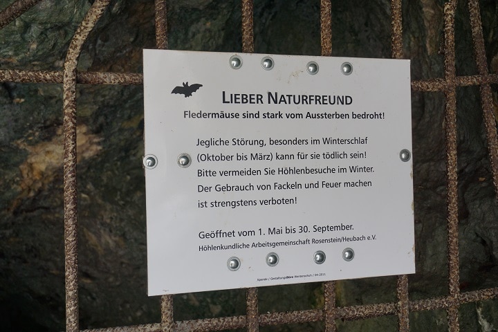 Informationstafel zu Fledermäusen in Höhle