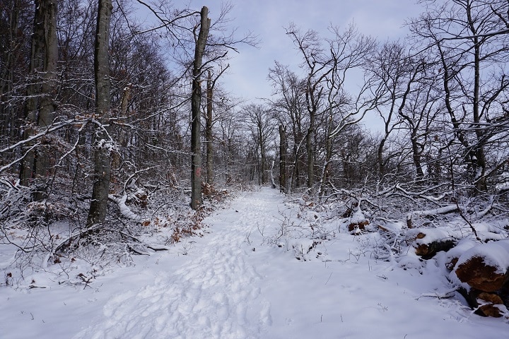 verschneiter Wanderweg in Heubach