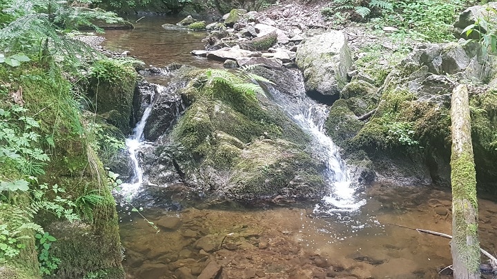 Kleiner Bach in der Lotenbachklamm im Schwarzwald
