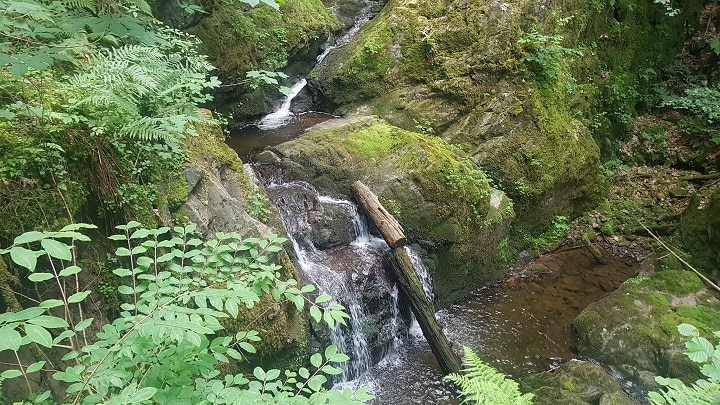 Kleine Wasserfälle beim Wandern in der Lotenbachklamm