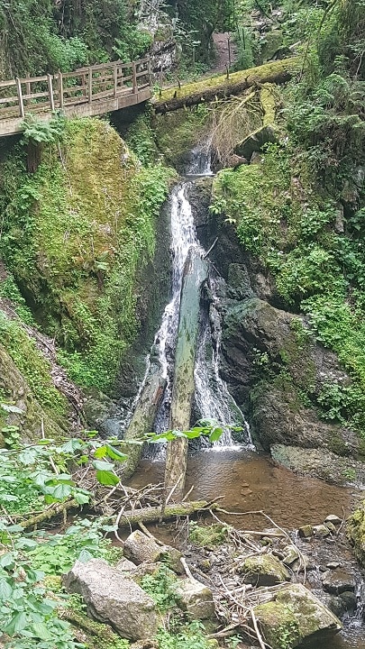 Wasserfall in Lotenbachklamm mit Baumstamm