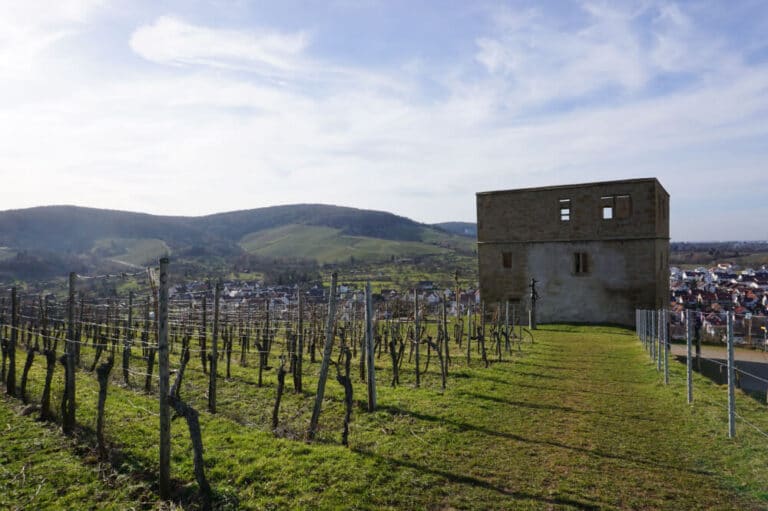 Stettener Rundwanderweg: Burgruine Yburg als Highlight im