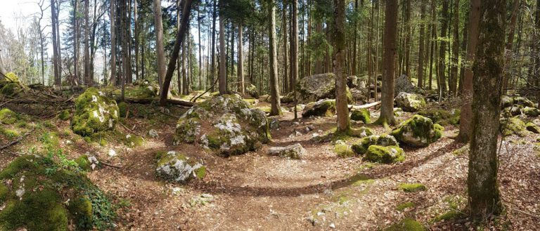 Auf Dem Lochen Wandern: Sensationeller Alpenblick Inklusive Gipfelkreuz!