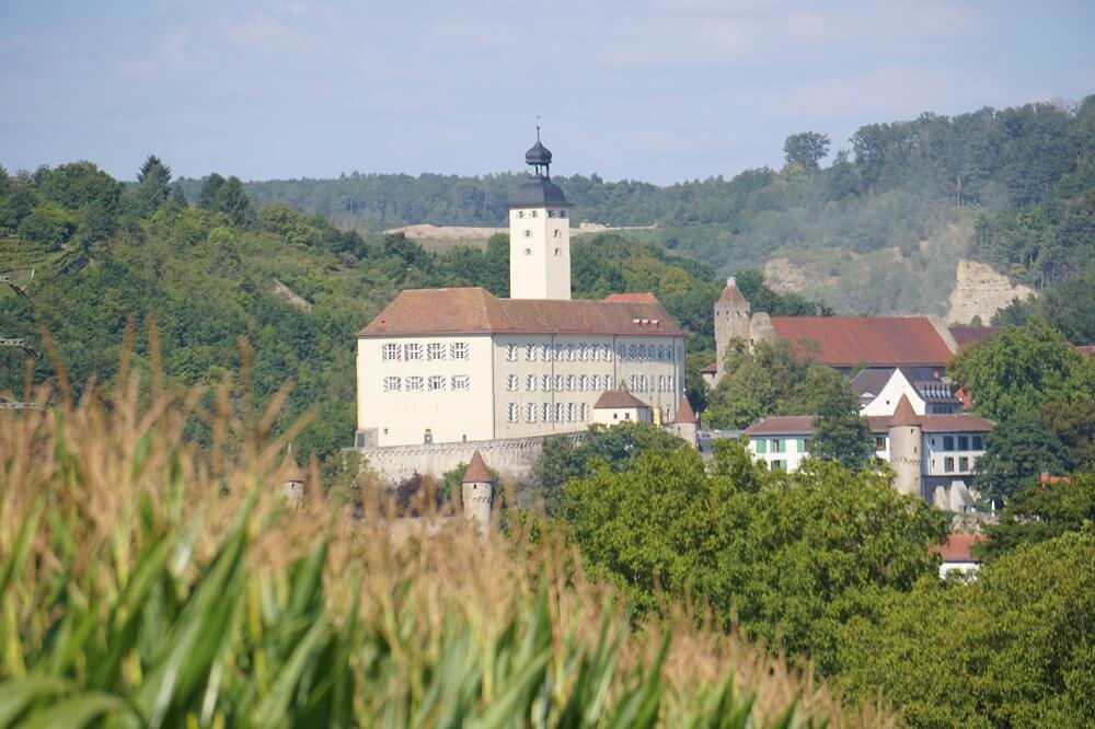 Aussicht beim Wandern nach Bad Wimpfen über Felder auf die Burg Horneck