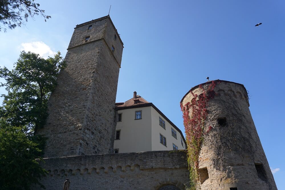 Falke über der Burg Guttenberg beim Wandern nach Bad Wimpfen