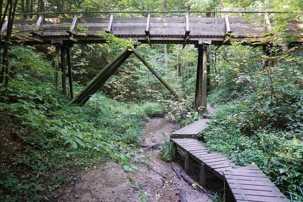Holzbrücke über matschigem Wanderweg