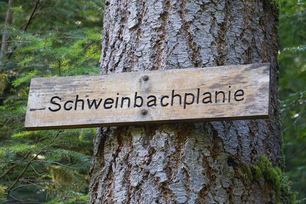 Hinweisschild Schweinbachplanie beim Wandern im Schweinbachtal