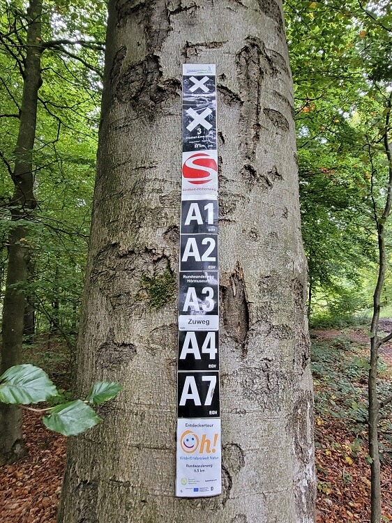 Zahlreiche Wegmarkierungen an Baum