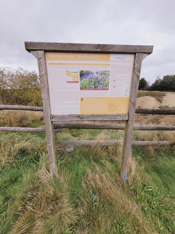 Informationstafel Blankenroder Bleikuhlen