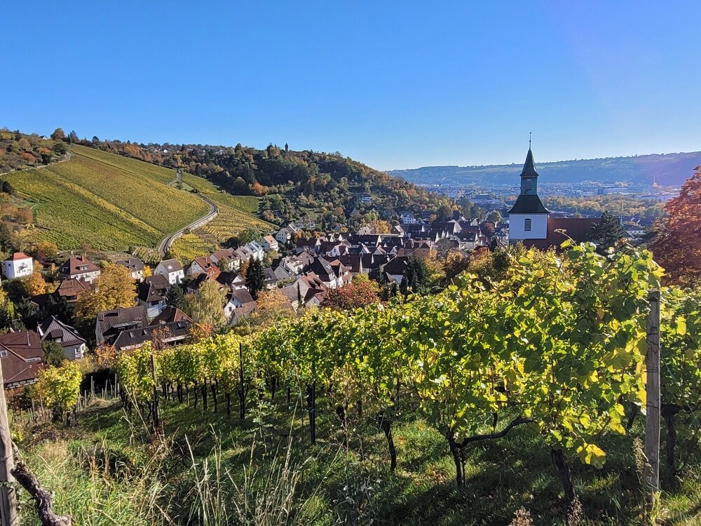 Blick vom Stuttgarter Weinwanderweg über Friedhof und Weinberge