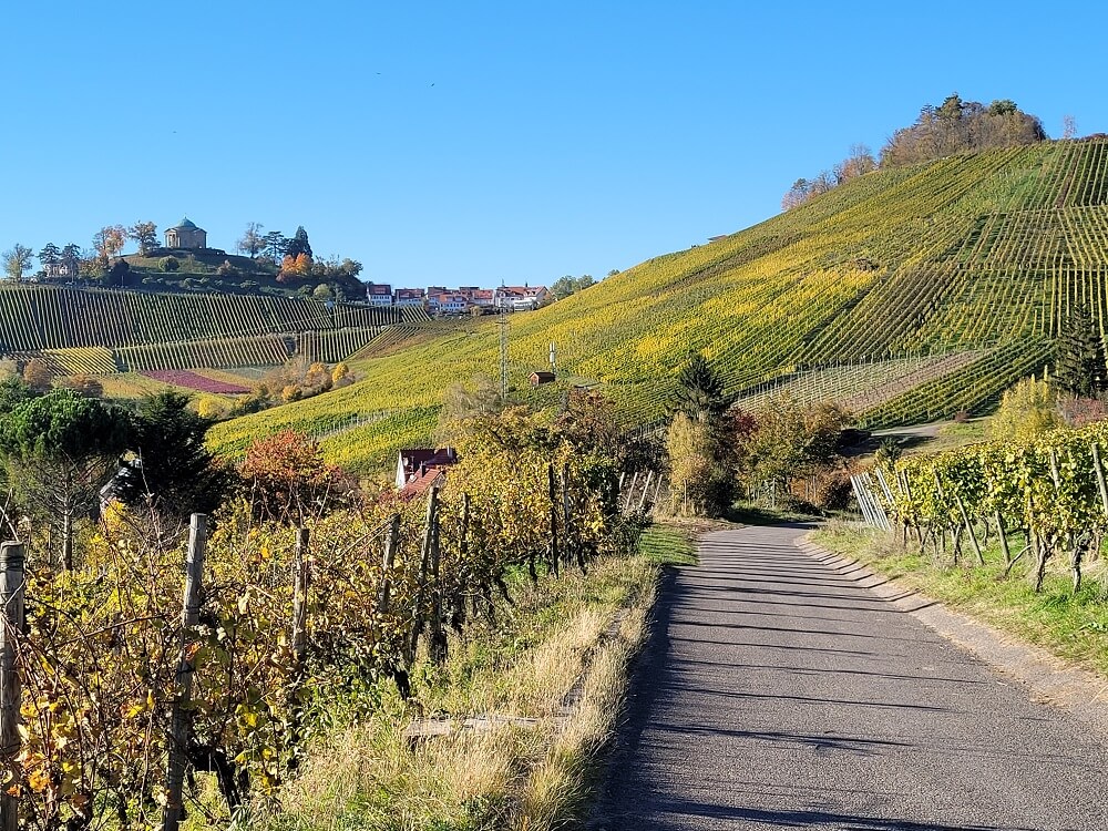 Der Stuttgarter Weinwanderweg führt direkt durch die Weinberge