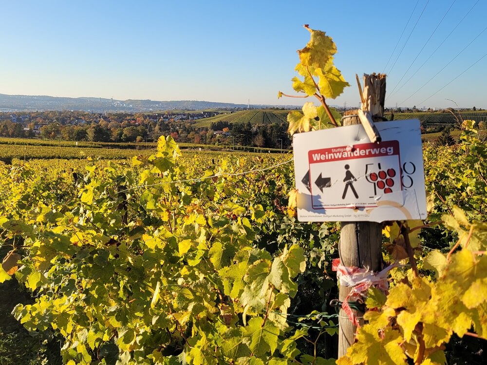 Wegmarkierung vom Stuttgarter Weinwanderweg in den Weinbergen